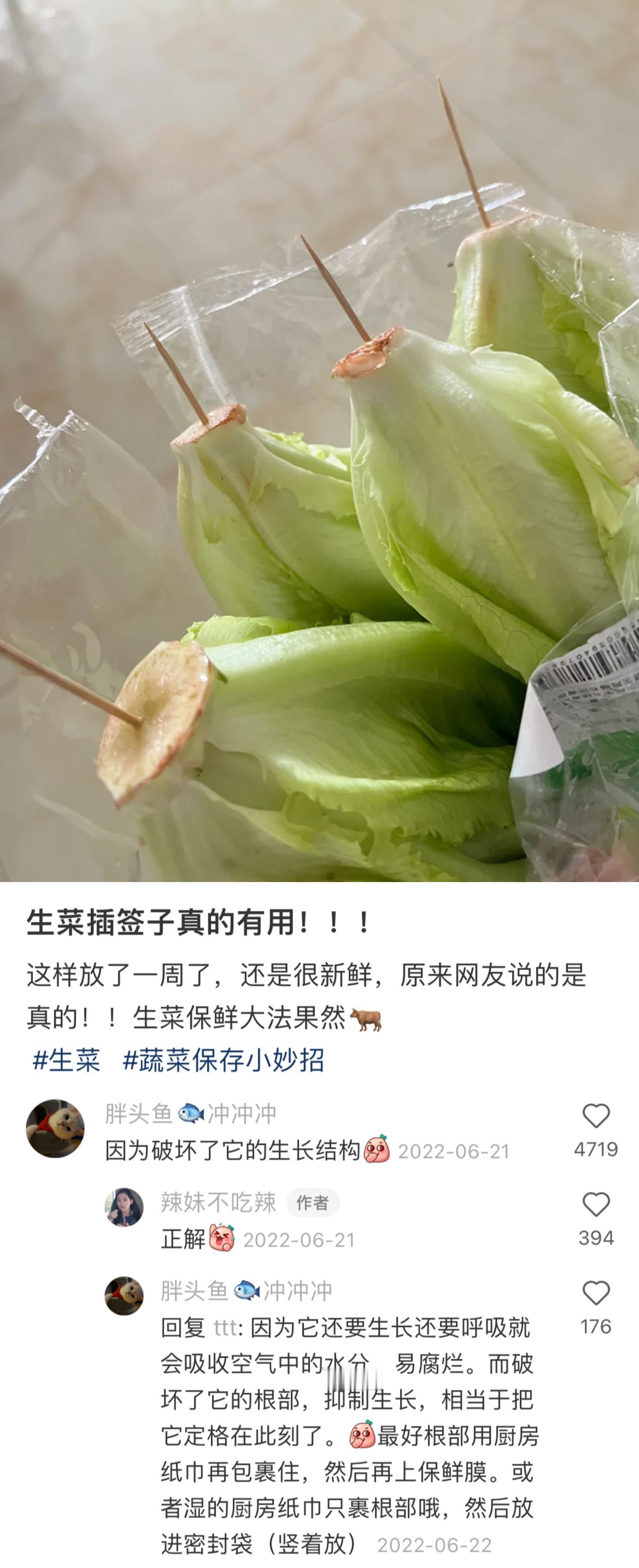 互联网就是我生活里的大学 