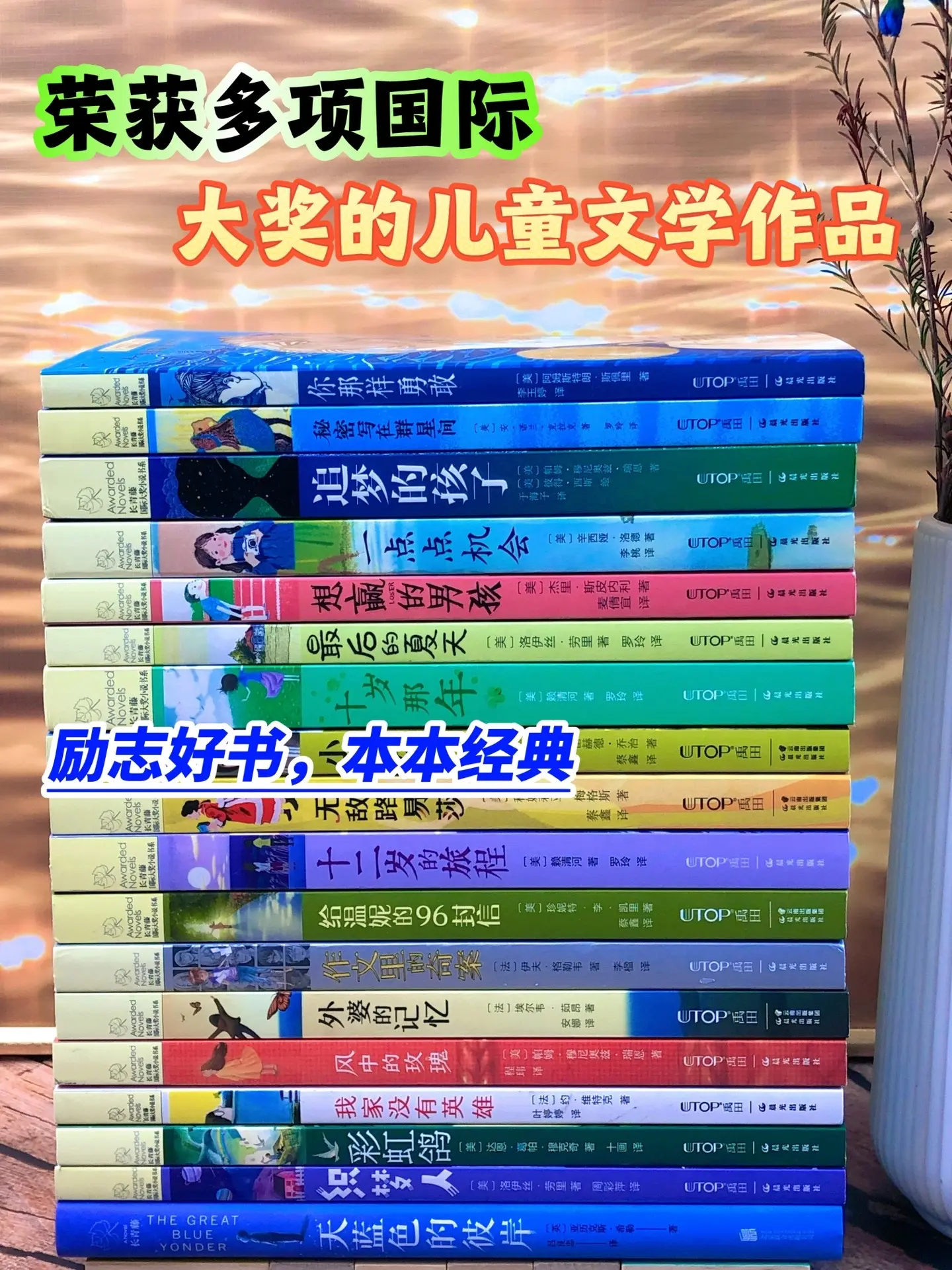 写给中小学生的成长励志之书📚。帮助9-14岁孩子走出仇亲期、叛逆期...