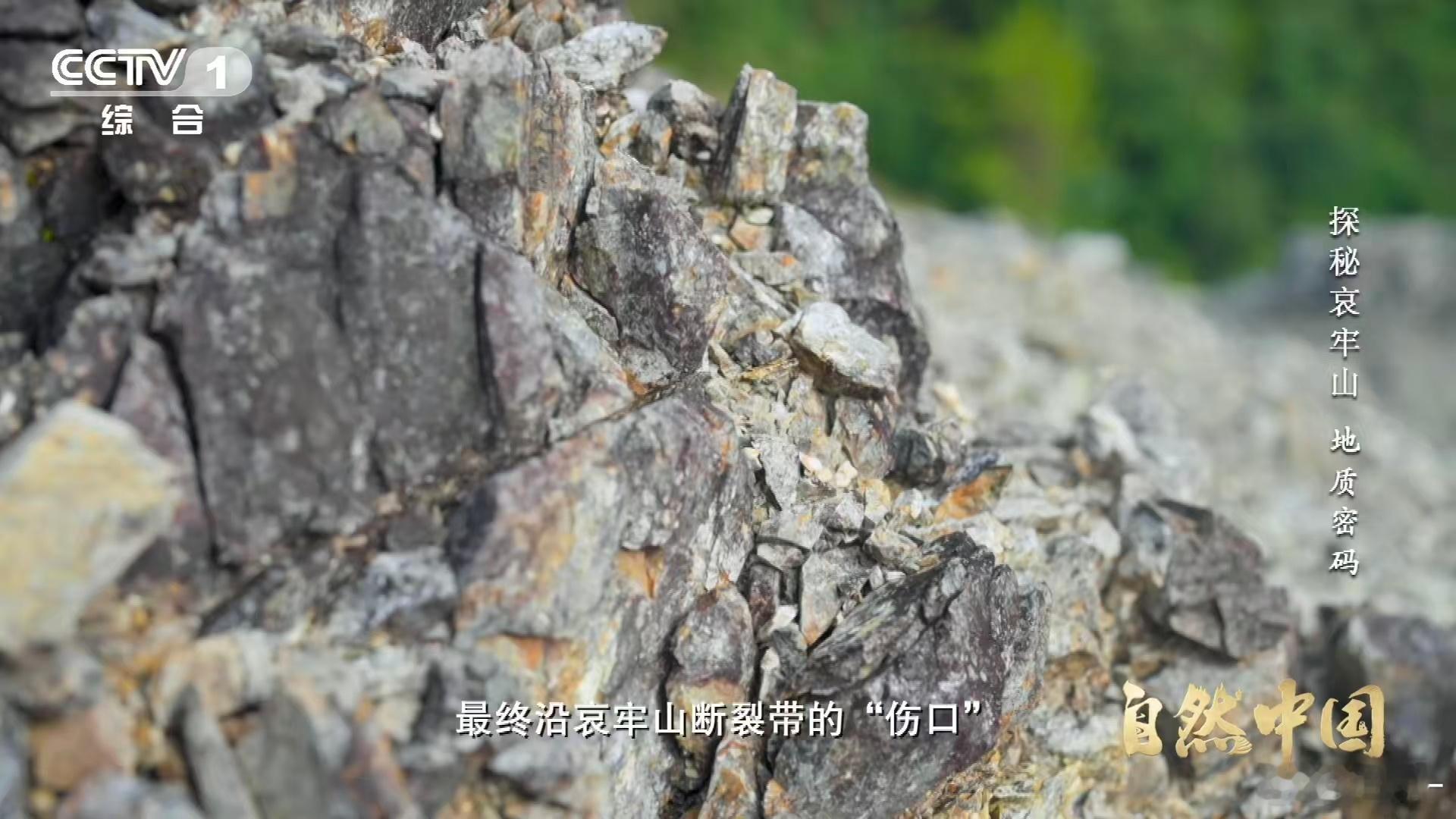 哀牢山罗盘为什么会失灵揭秘哀牢山磁场紊乱现象 踏入哀牢山，如同走进一个天然的磁场