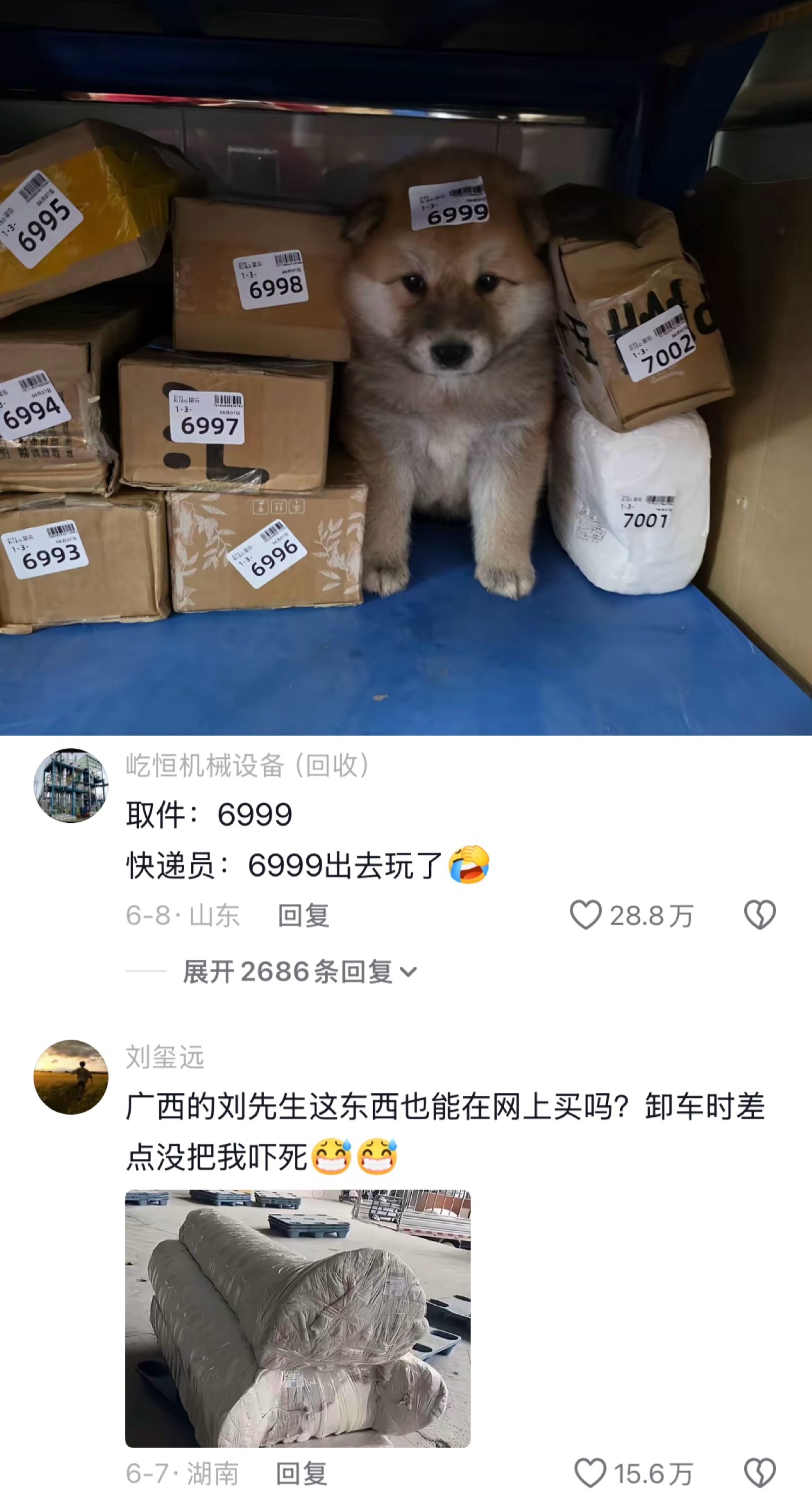 Pro Max大乱斗两眼一黑又一黑！快递小哥崩溃就在一瞬间哈哈哈哈 ​​​
