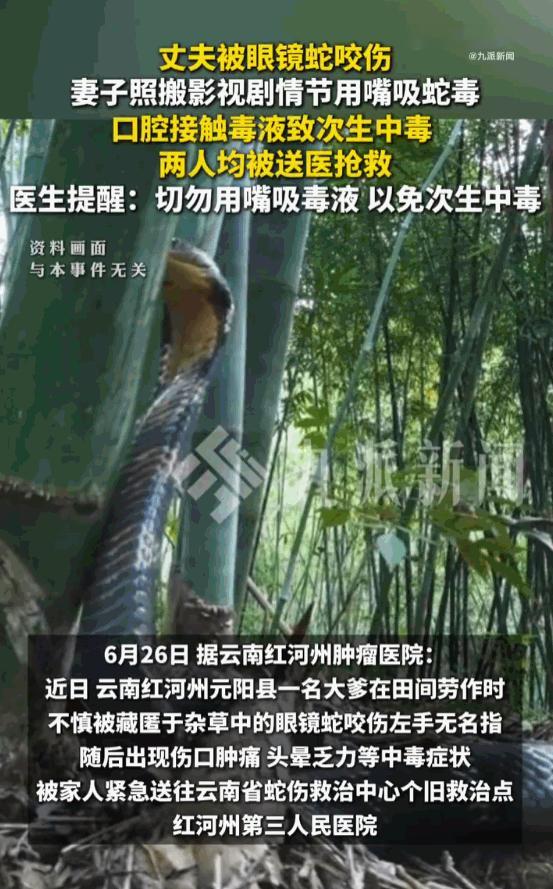 电视剧真是害人！云南红河元阳县，一位大爷田间劳作突遭剧毒蛇咬伤，倒地剧痛不止、伤