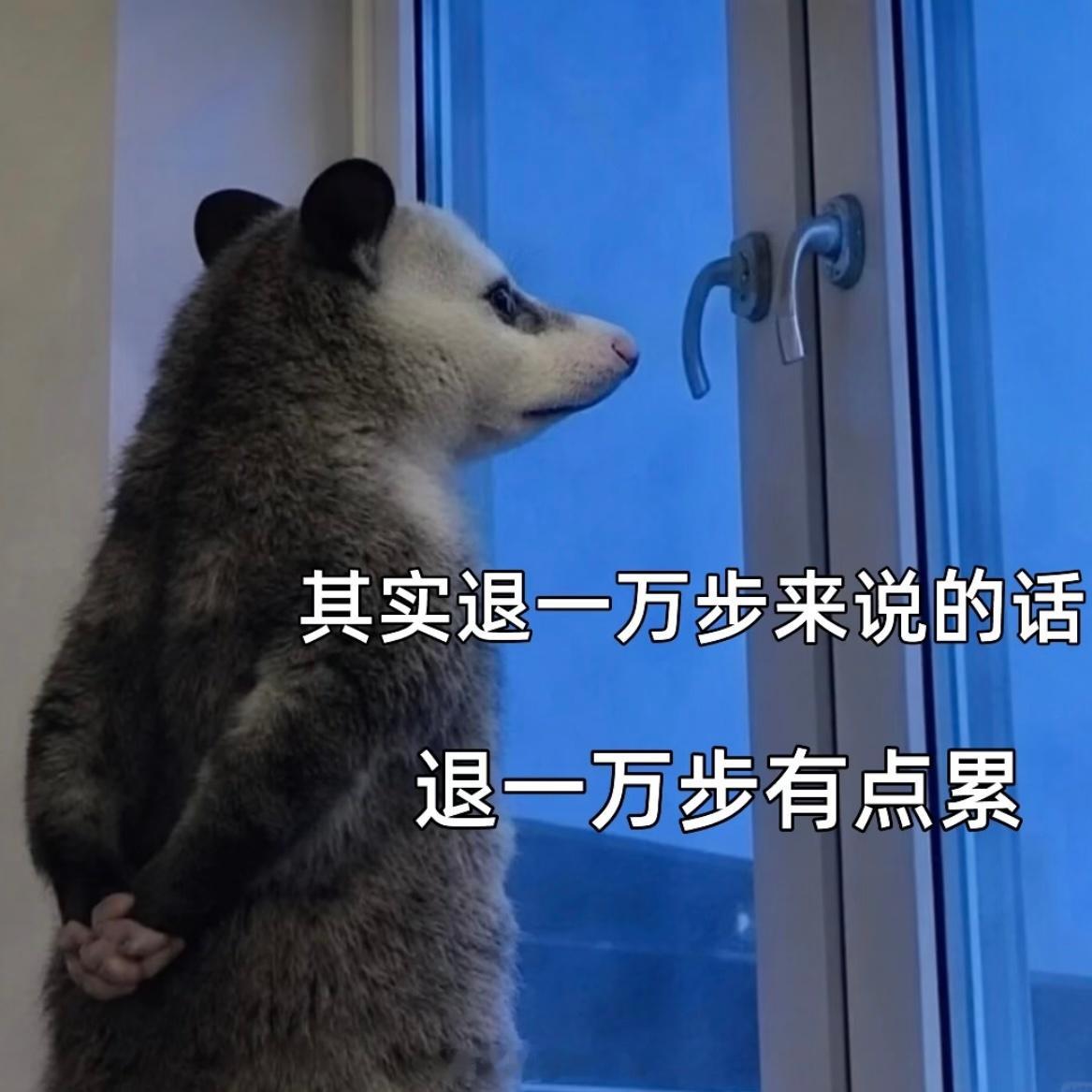 刚给曹老师看了我某书关注的几位博主和他说，你不关注都不知道外面的自媒体卷成什么样