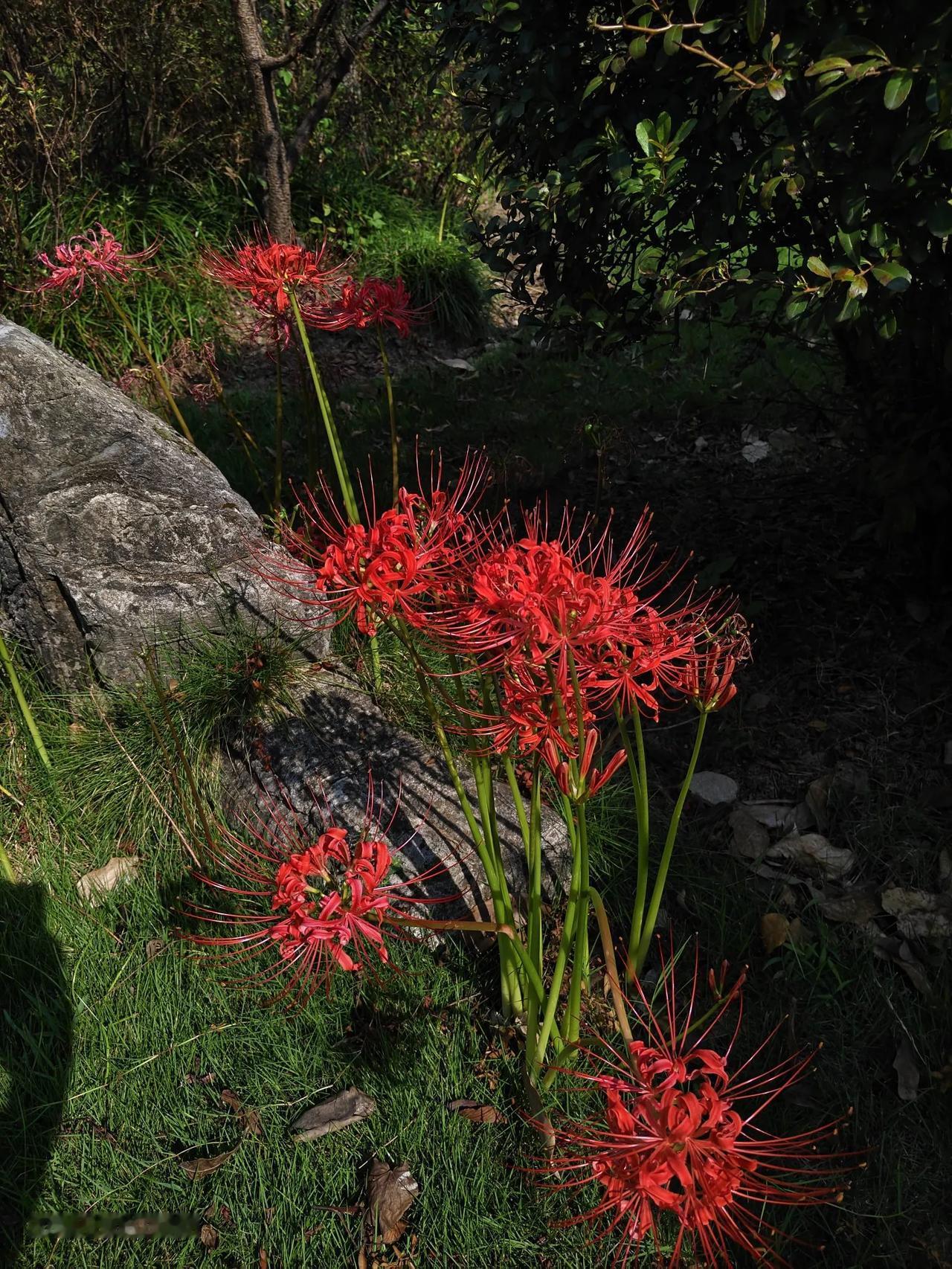 咱就说句掏心窝子的话，
不吹牛，不带水份，
说句实话，你多大了？
八零后？七零后