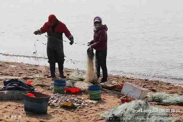 我的今日状态：💪🏻充满干劲
我这里的天气：🍂微风，去海边看到农渔民正在整理