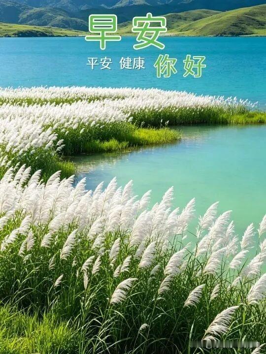 早晨好，美好的一天从自然开始！