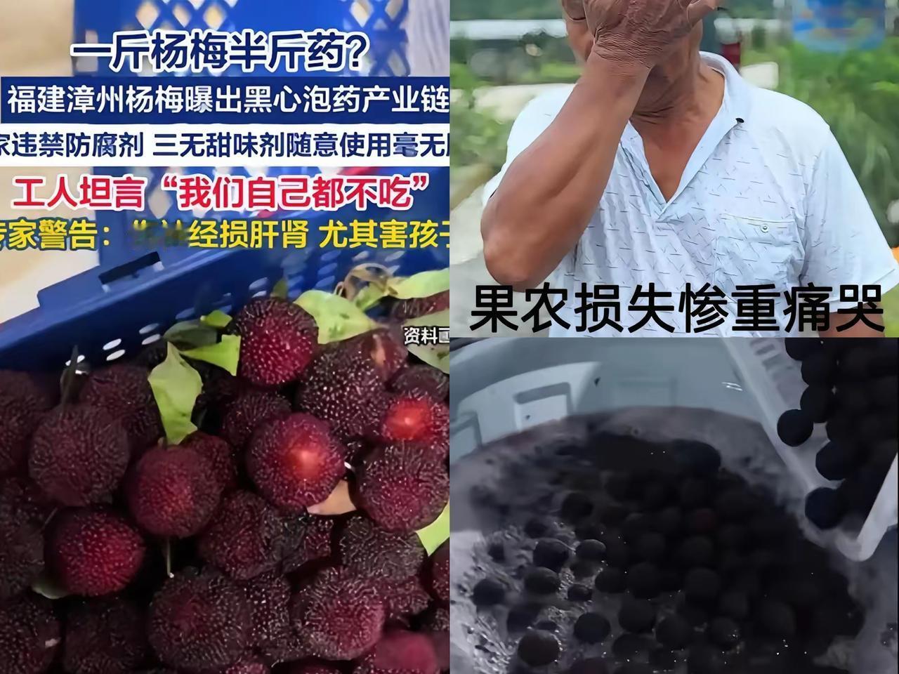 福建果农为杨梅滞销痛哭求助，消费者却冷眼相对，这话听着狠，实则是积攒已久的怨气彻