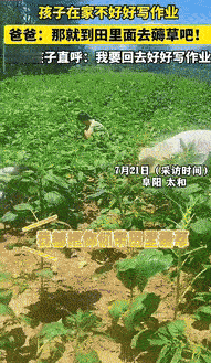 “这下后悔了吧！”7月21日报道，安徽阜阳，一男子因孩子在家不好好写作业，将其带