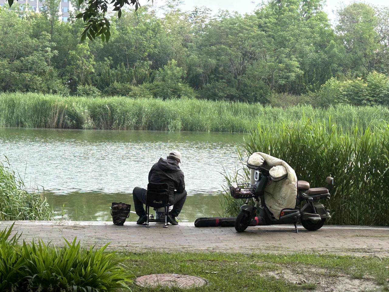 东营环境太好了，天然的钓鱼胜地！处处有河流，处处是钓场！ 钓鱼休闲胜地 东营生态