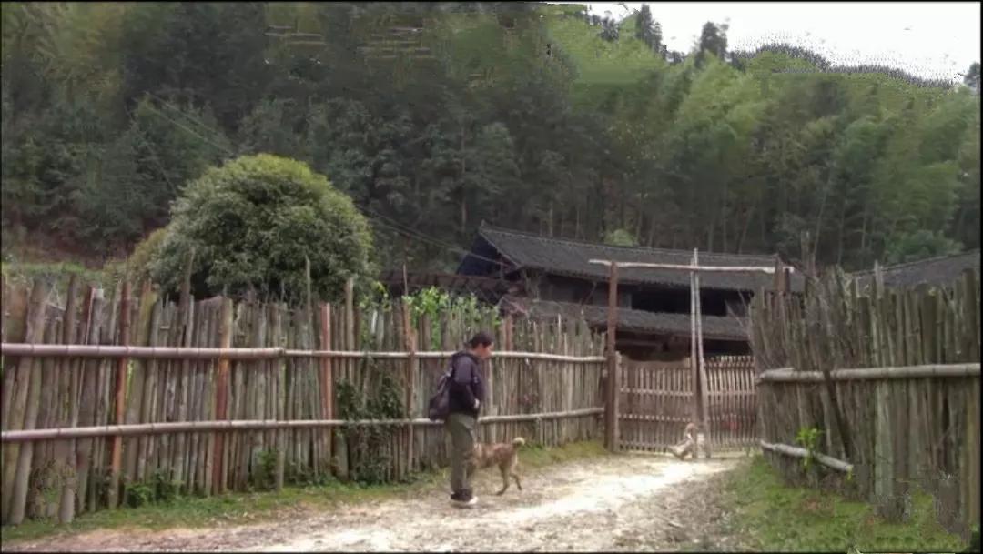 我的山居生活，除了烟火日常外，闲余时间最喜欢的事情就是奔赴和游走在各个山野深处。