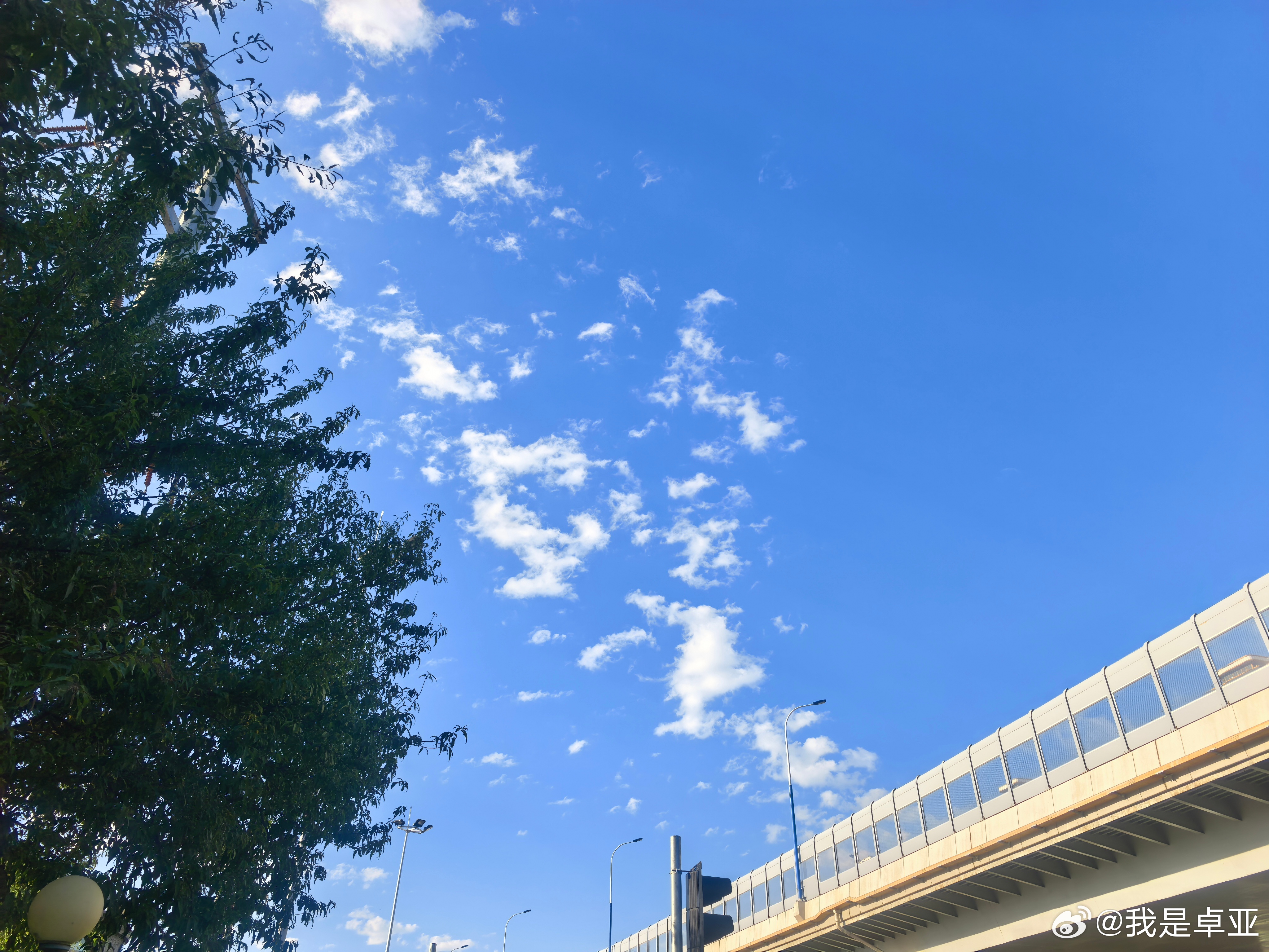 呼和浩特盛夏晚霞太治愈呼和浩特的清晨也非常治愈。 