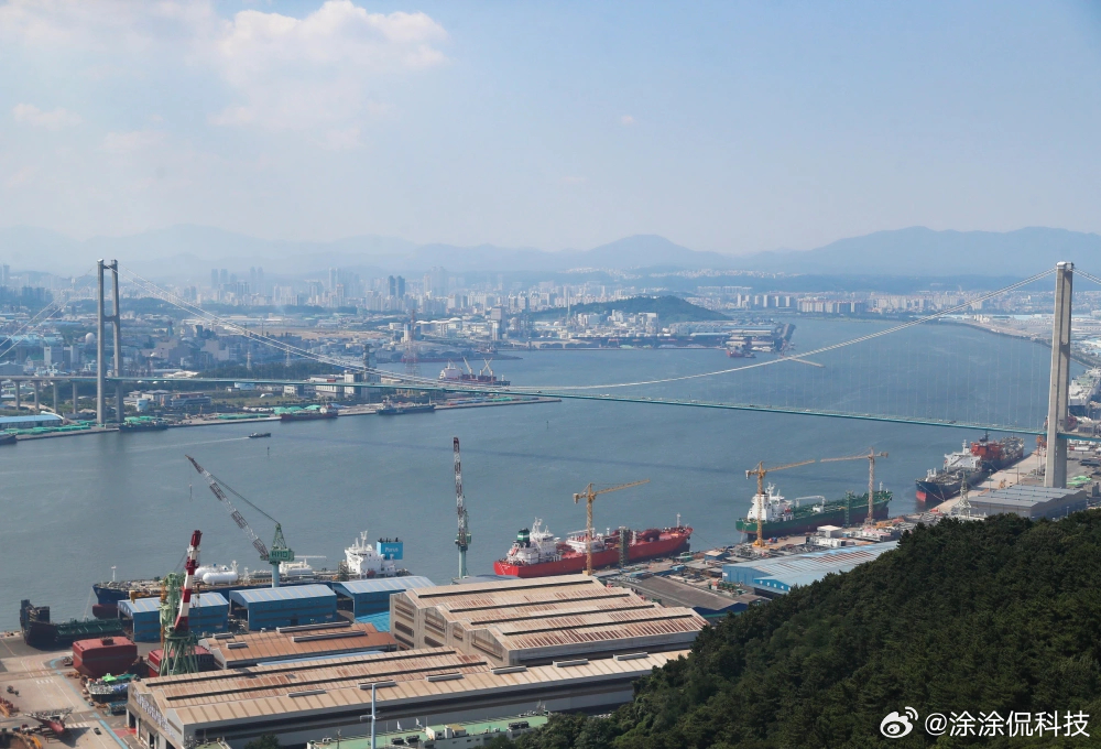不管怎么说，油价大跌了 是个积极的信号，总比继续涨价要好。至于这个国际油价的波动