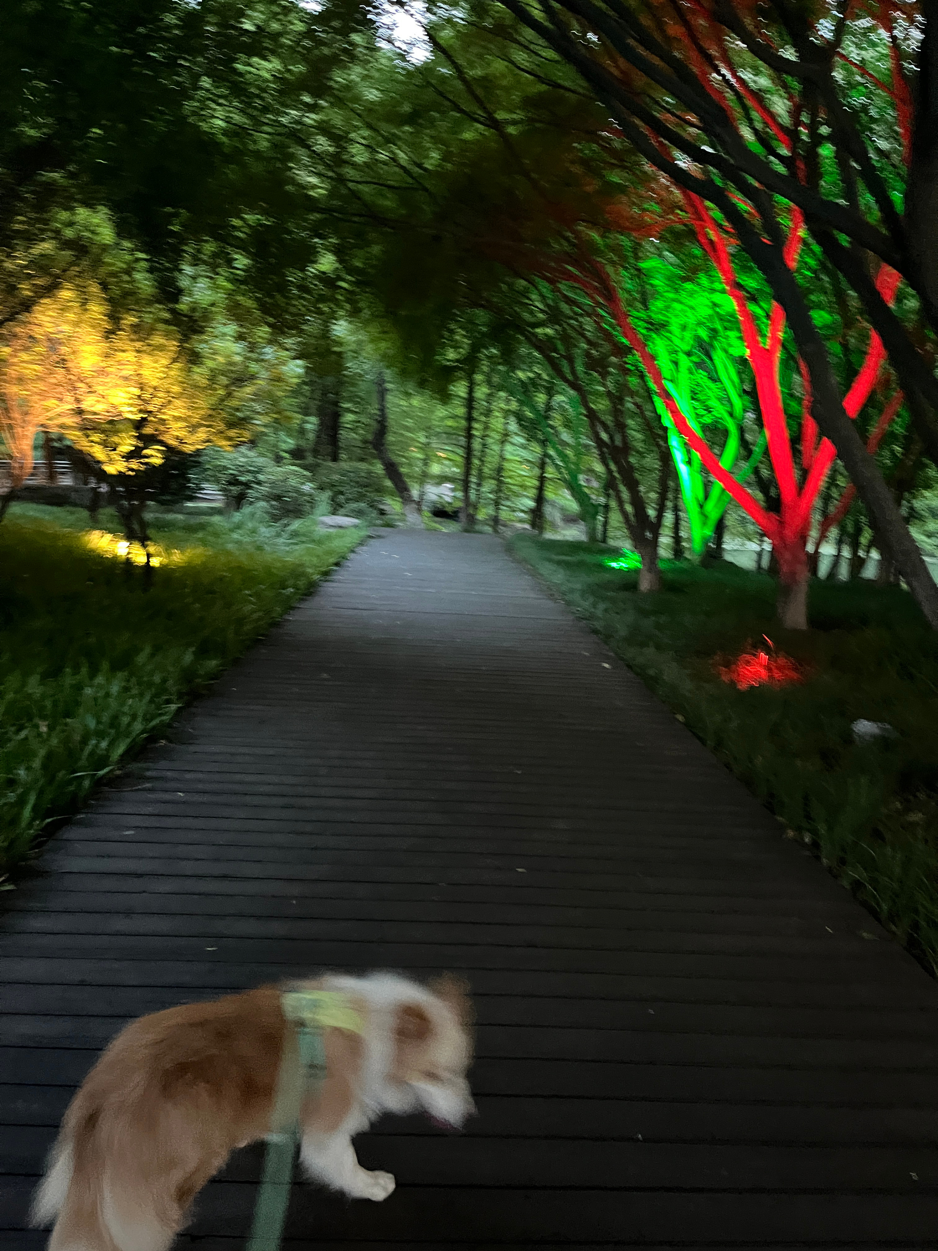 感觉误入阴曹地府了哈哈，，