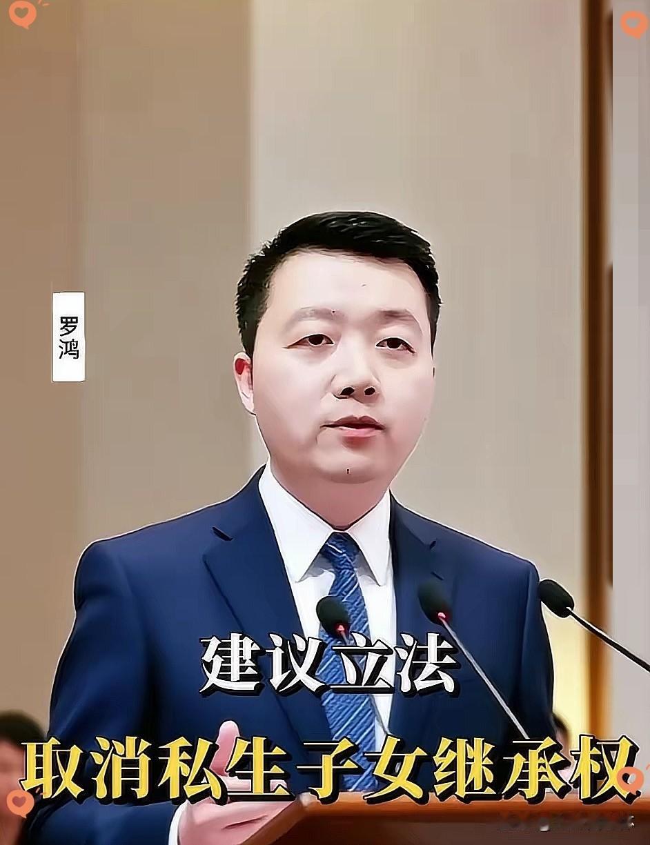 建议立法废除私生子女的继承权。
罗鸿提出这一提案后，立刻在全网引发了激烈的争论。