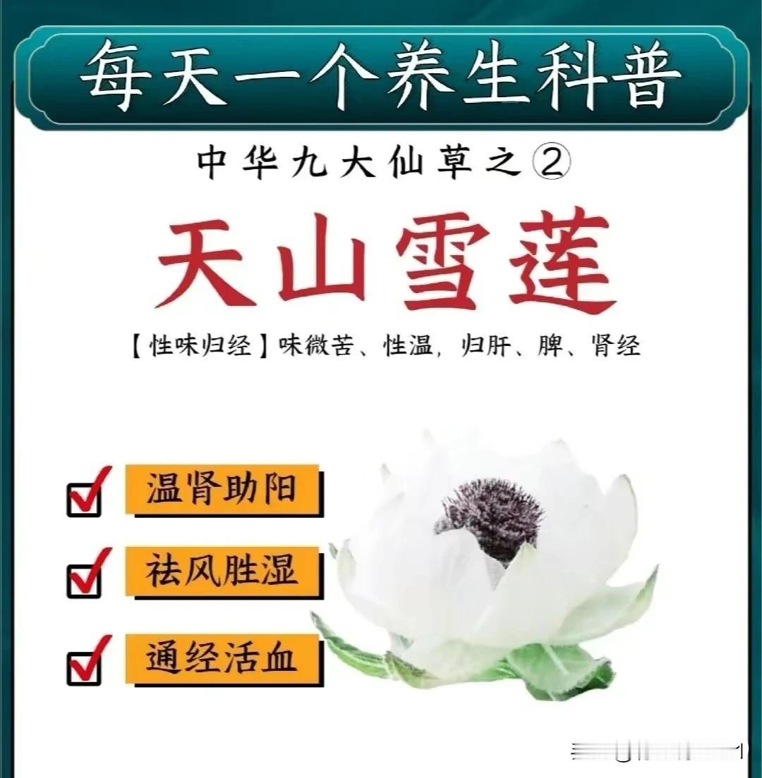 揭秘“九大仙草”：这些中药竟有如此神奇功效！

在浩渺的中医宝库中，九大仙草以其