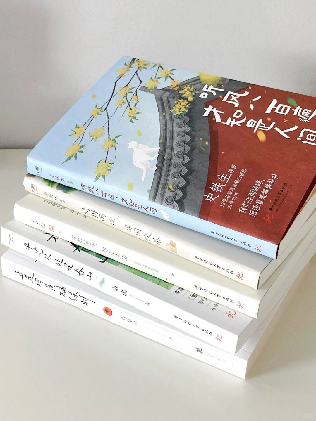 狠狠拿捏这5本书，提高文笔嘎嘎快❗️