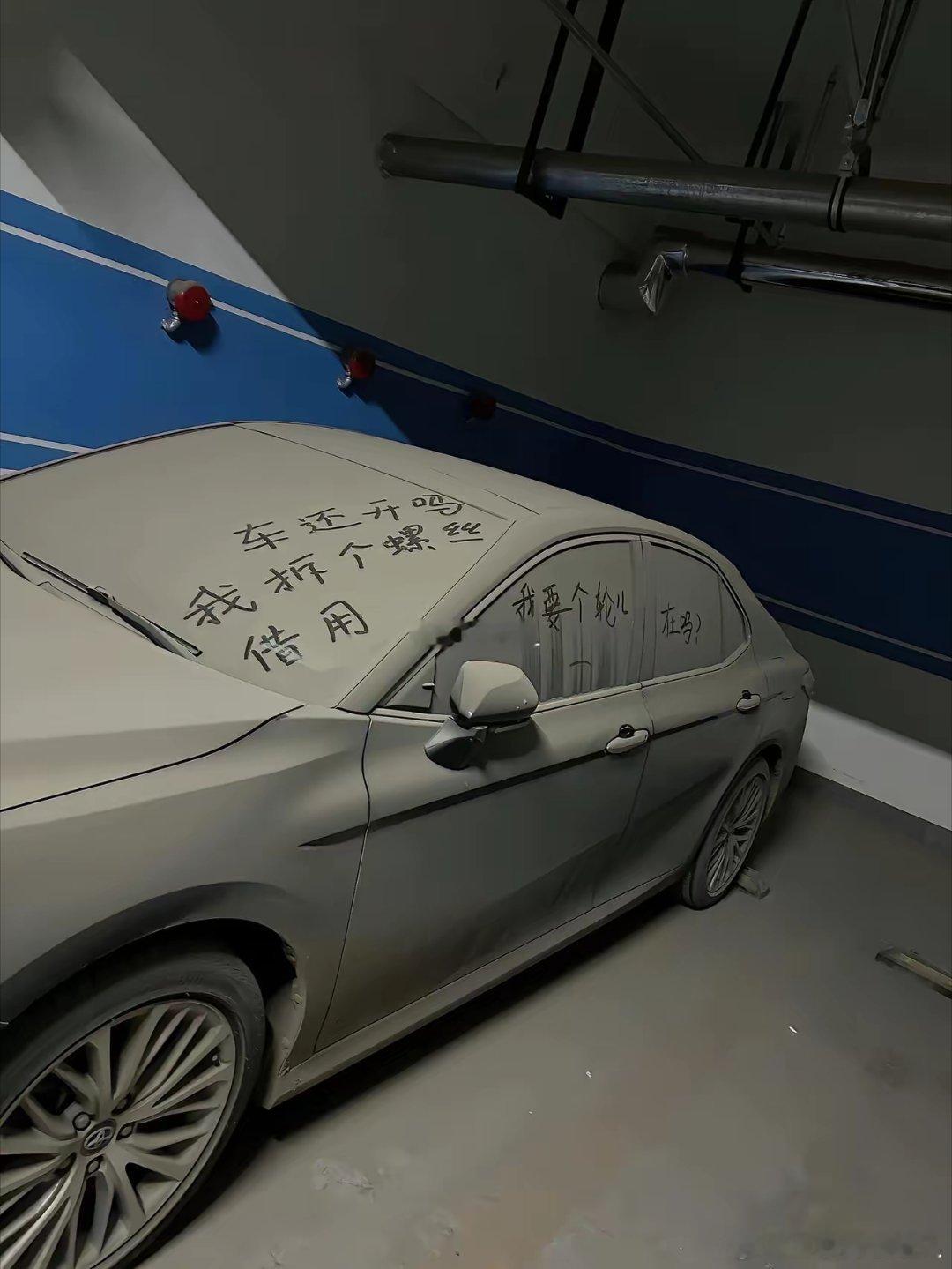 这也太淘气了吧