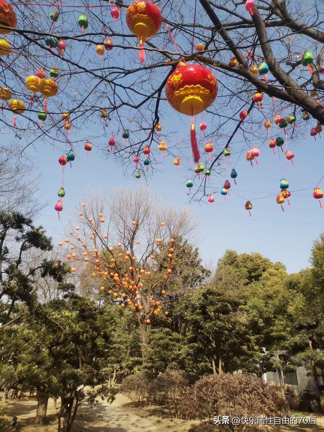 冬园静好，每一步都踏出暖意，在看似沉睡的季节里，生命正悄然积蓄破土而出的勇气，就