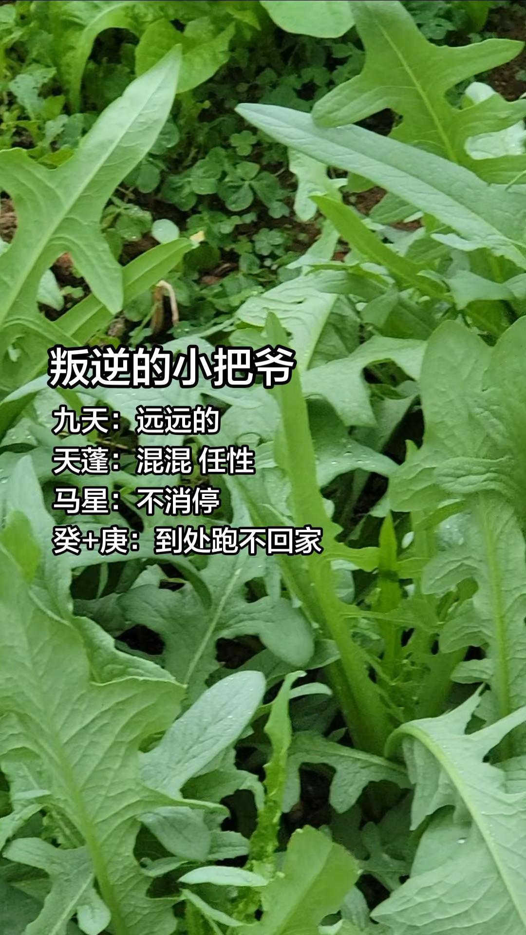 小孩叛逆啥办？