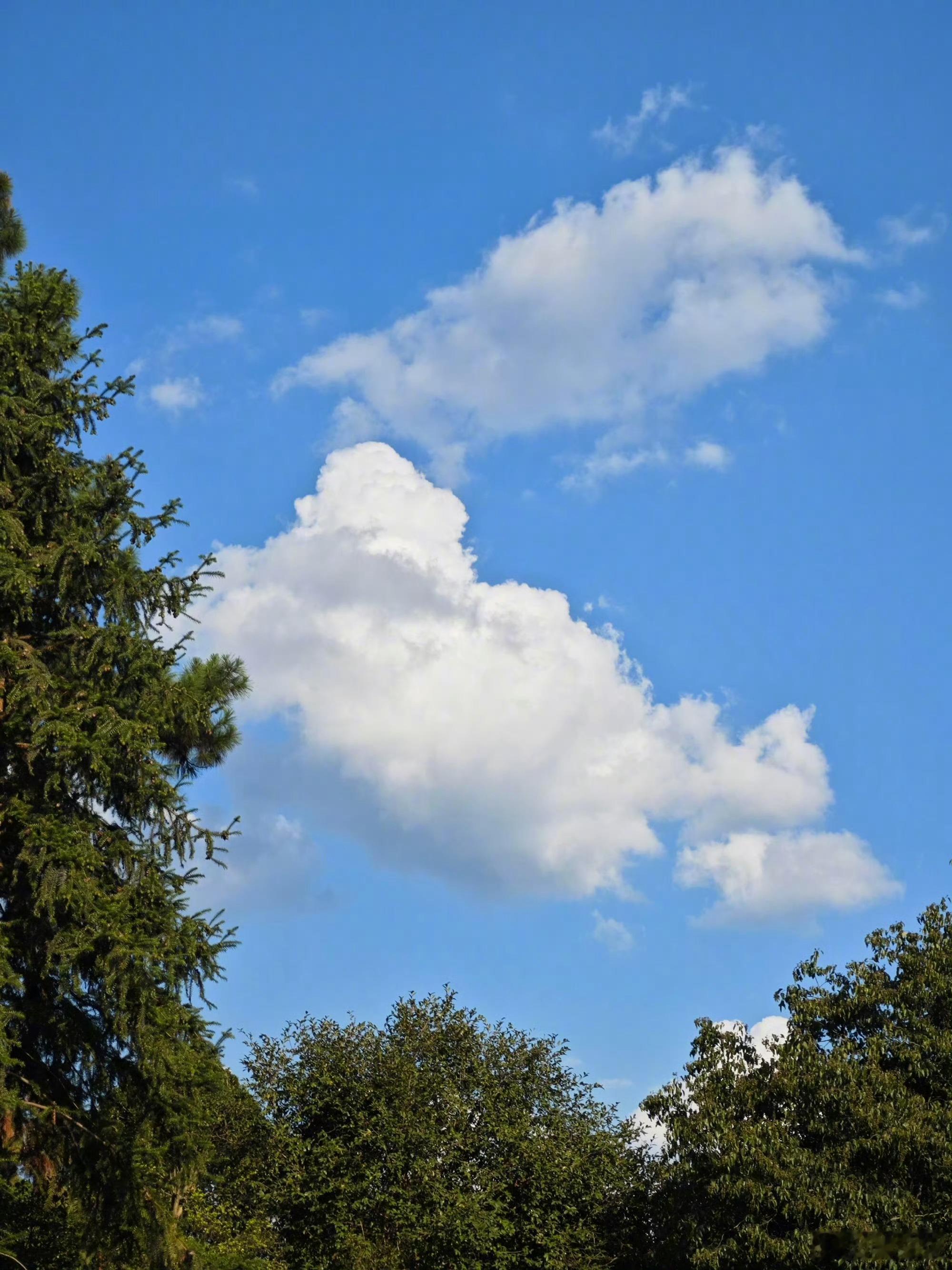 分享图片 ​​​