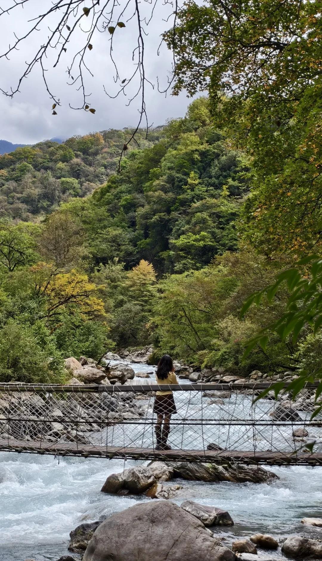 🍂遇秋🦌遇鹿 ｜ 喇叭河
🕙时间 10.18-10.19
🚗自驾｜费用