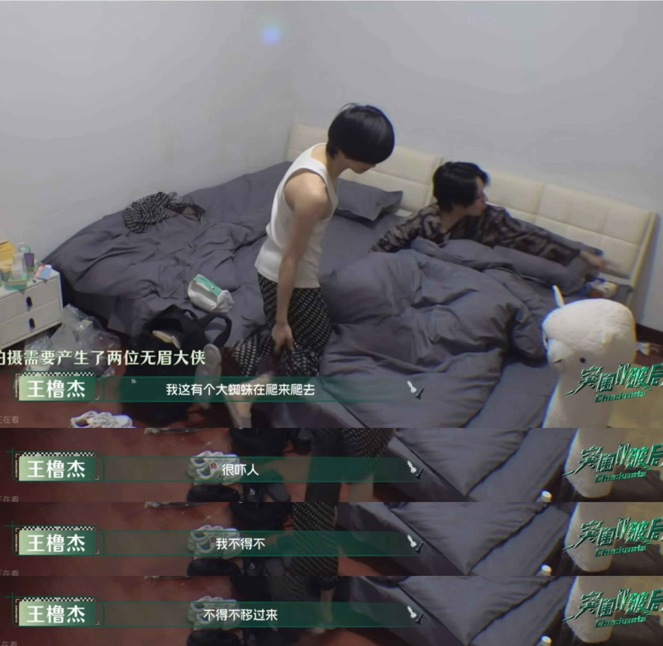 一般人看到蜘蛛：打死它王橹杰看到蜘蛛：床位给你 我搬家 