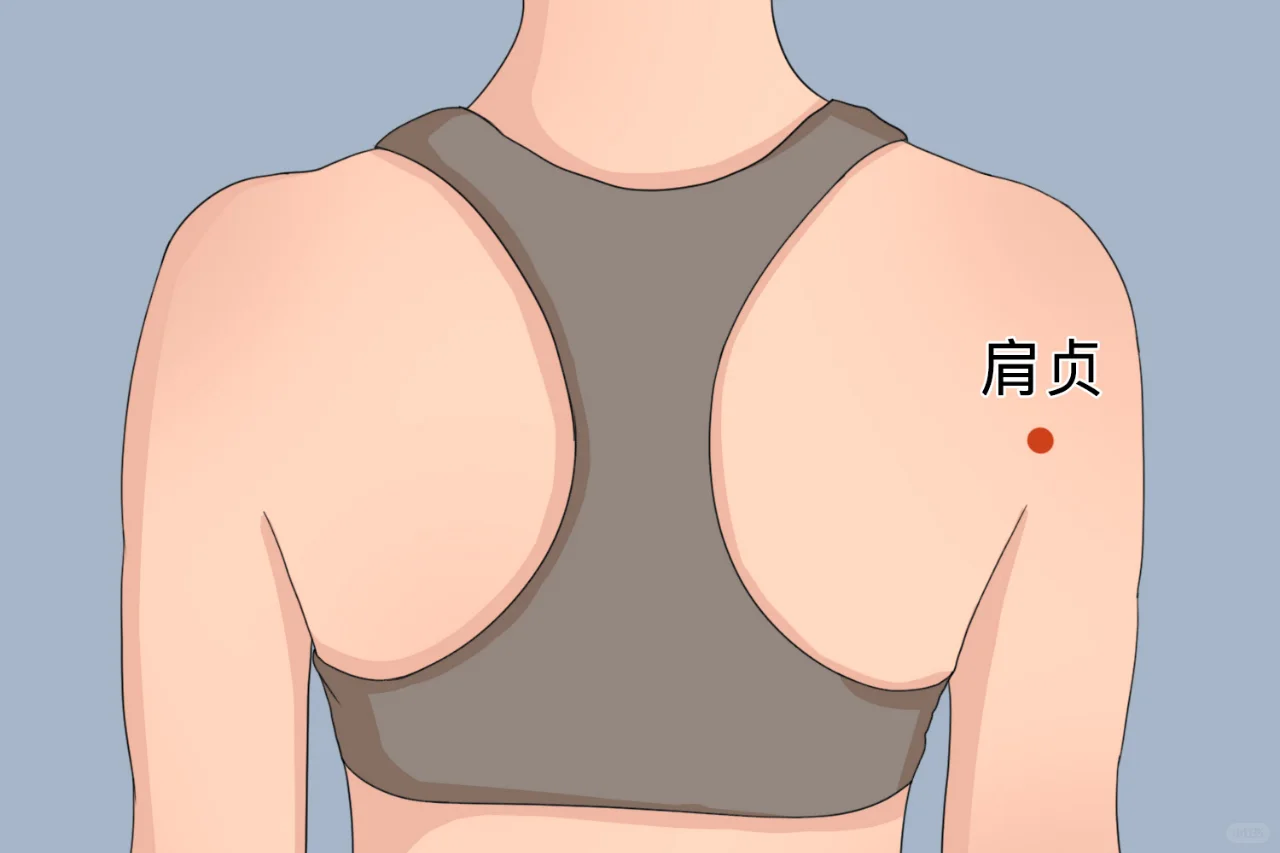肩贞部位疼痛什么原因