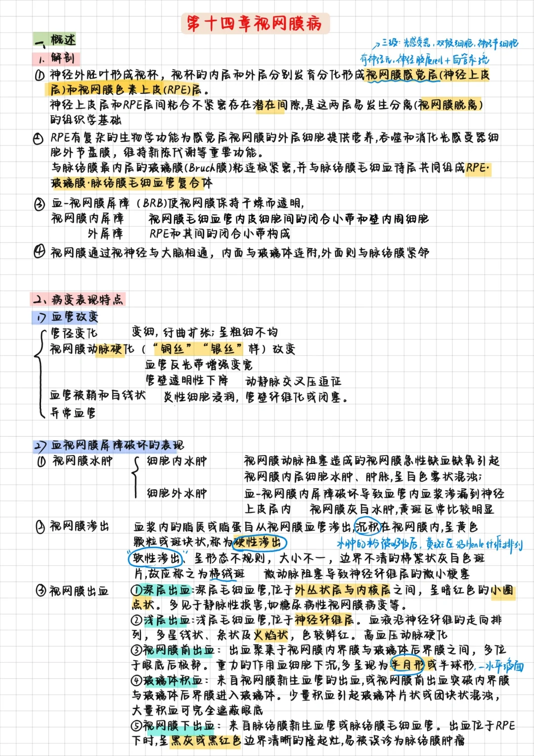 眼科学-视网膜疾病