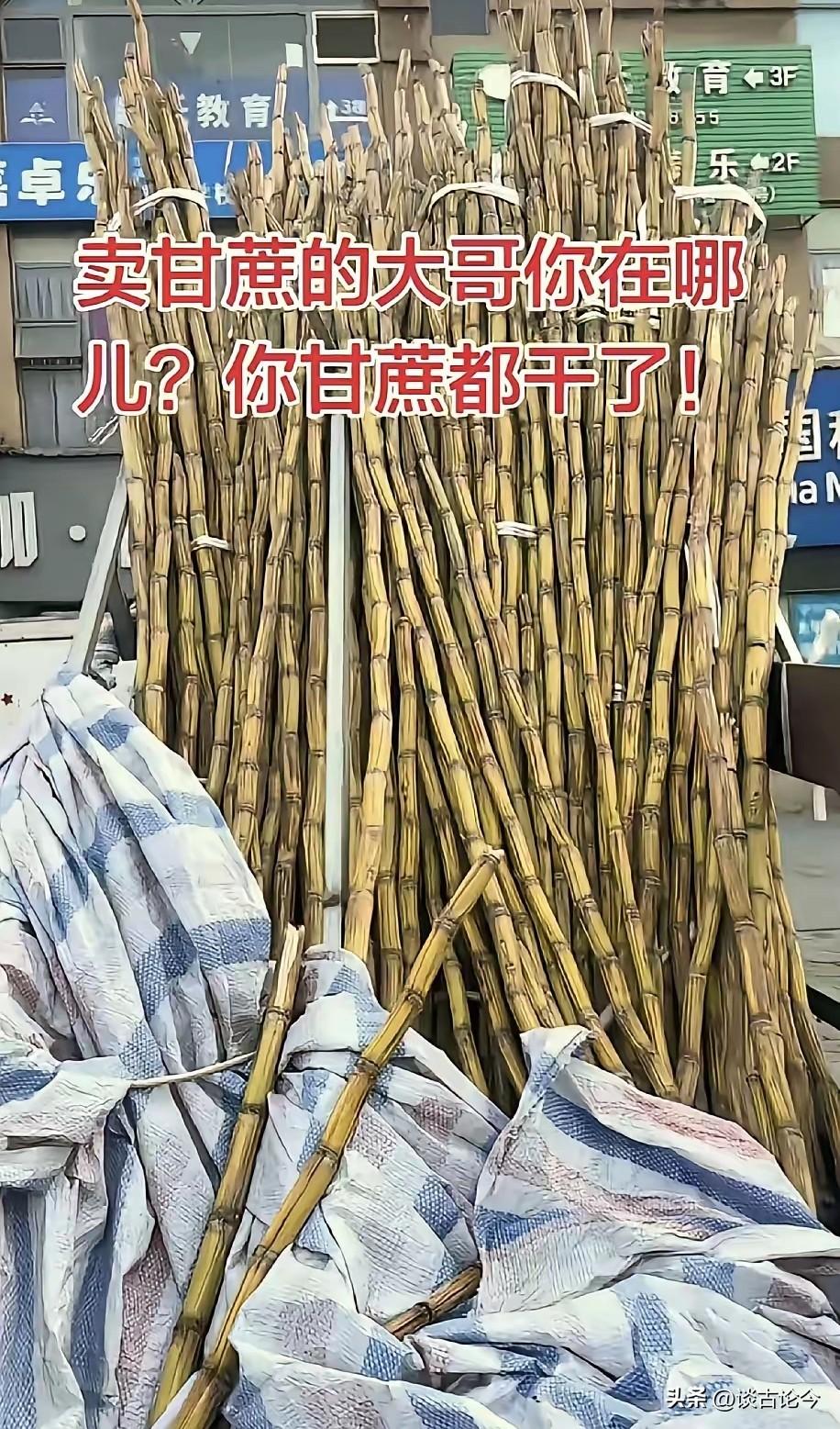 四川男子隔空寻卖甘蔗大哥，甘蔗枯成木头，这波善意真的看哭了
 
太暖心了，四川，
