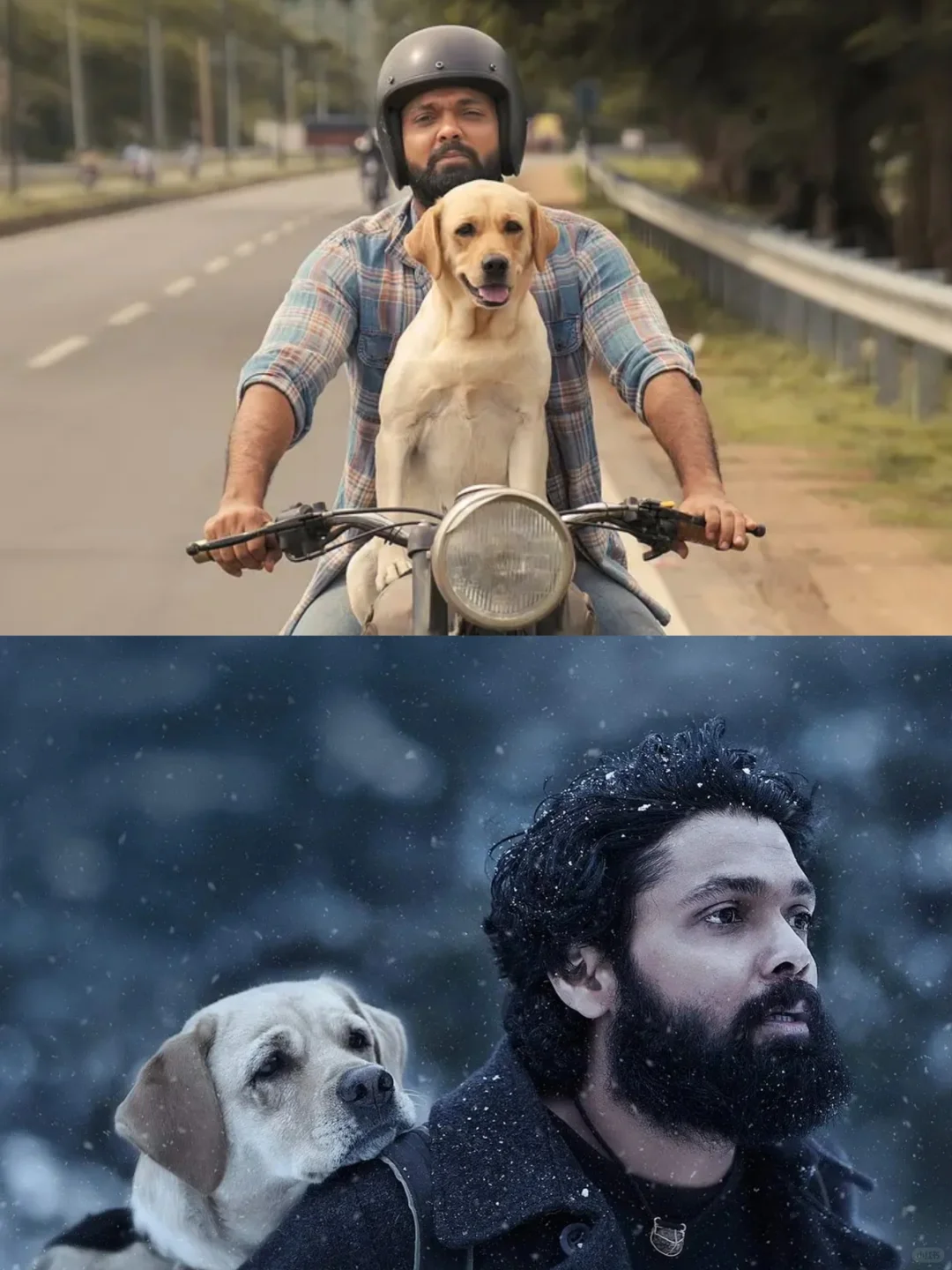 👀带狗狗去看雪💢哭瞎了有没有😭