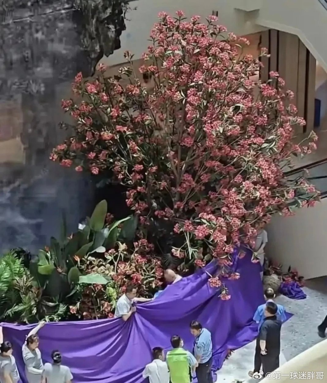 胖哥论坛闽大评赛格商场店员披露拆券被罚详情 连鸡棚都要塌了 西安赛格还在干杀鸡取