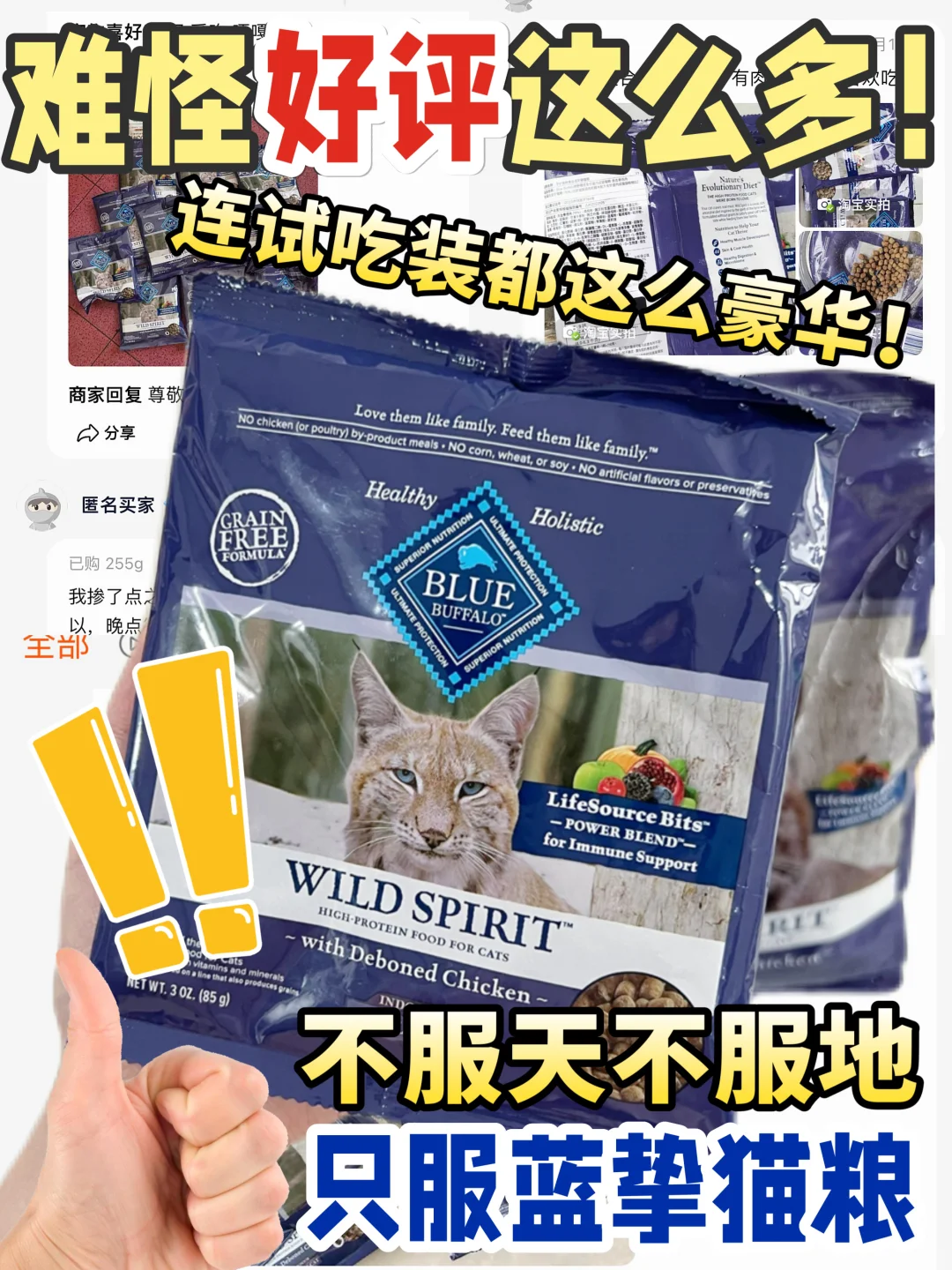 不服天不服地，就服蓝挚猫粮