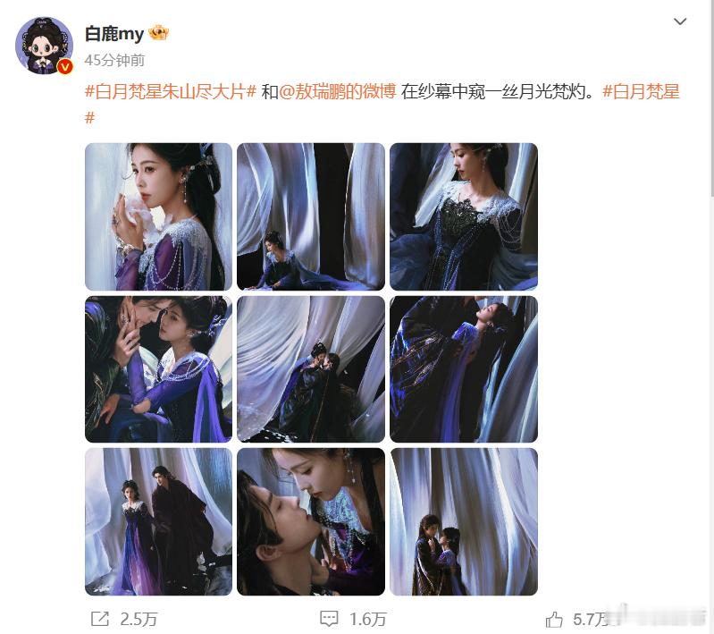 白鹿敖瑞鹏月光梵灼双人写真  白鹿敖瑞鹏月光梵灼情侣大片  和在纱幕中窥一丝月光