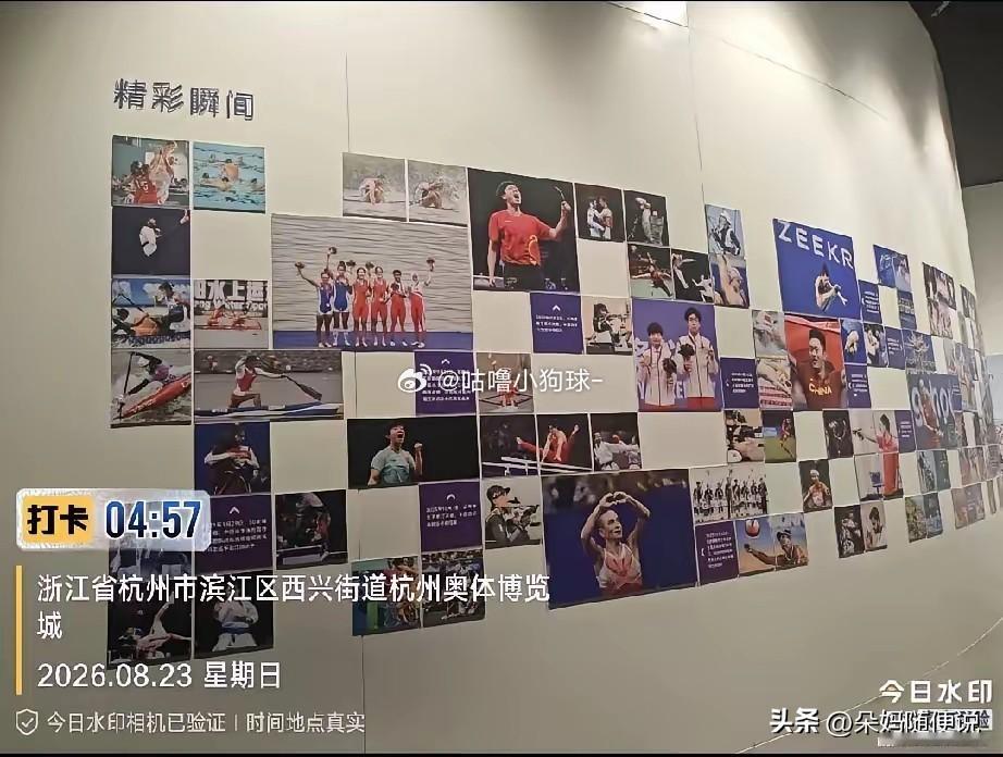 王楚钦夺冠照已恢复尘埃落定！杭州亚运会博物馆连夜完成整改，王楚钦亚运男单夺冠照正