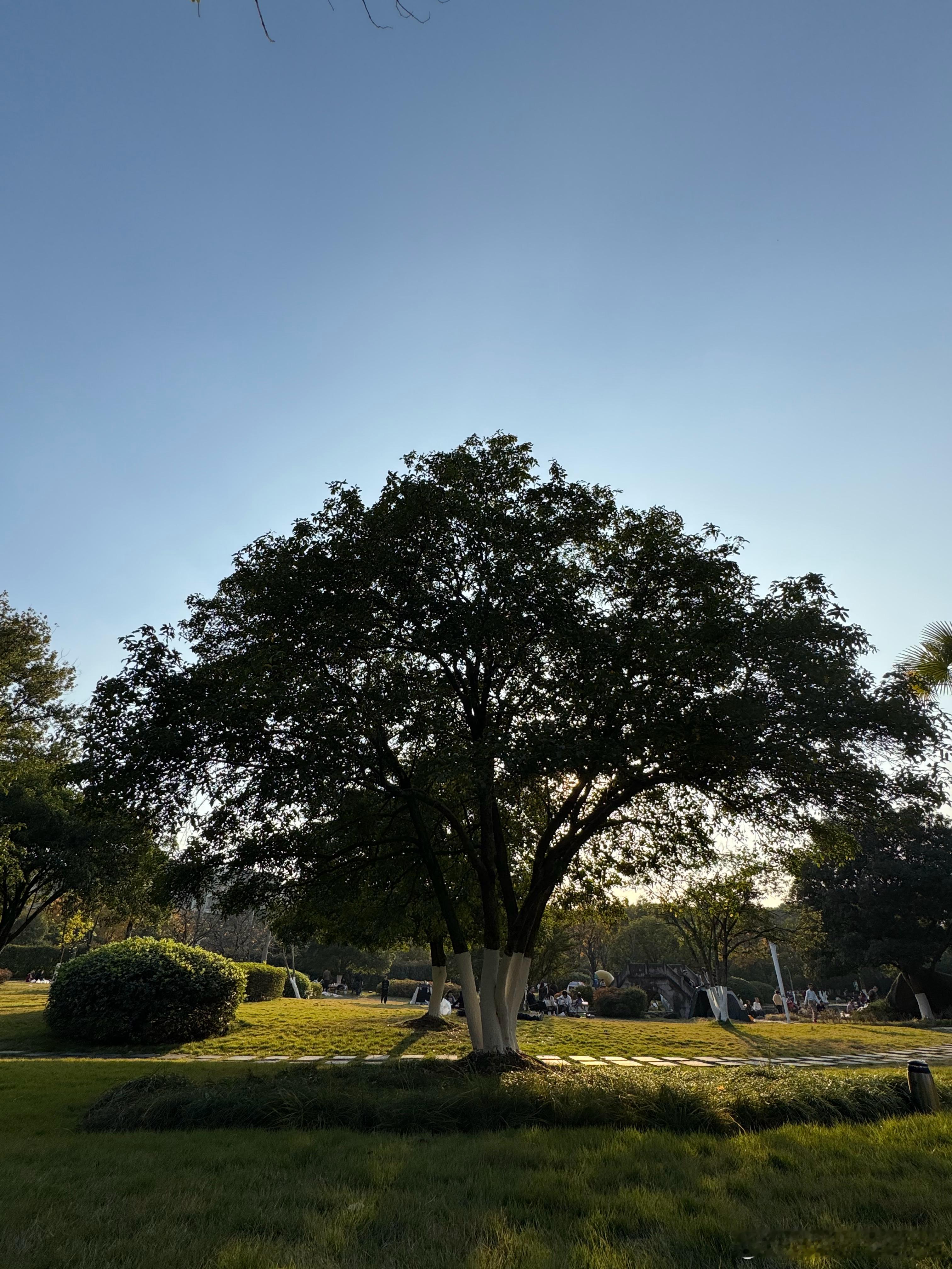 此时此刻我带安姐在公园躺着即将开始“品尝”这盒怪味豆落水狗味，呕吐物味，鼻屎味到