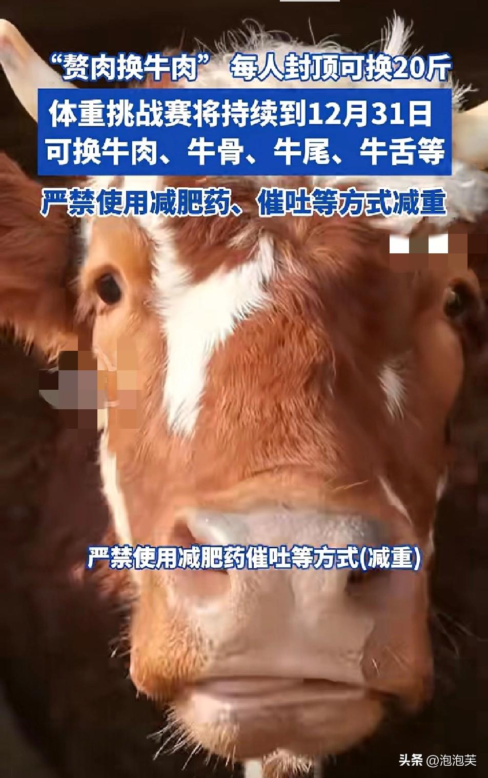 江苏这波操作太会了

3月12日起

“赘肉换牛肉”活动正式上线，减掉一斤赘肉就