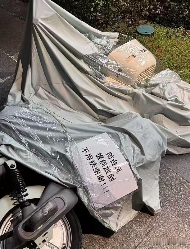 为了迎接年度最强风王“桦加沙”，大家可谓是严阵以待。“麦”克风也摆出来了[呲牙]