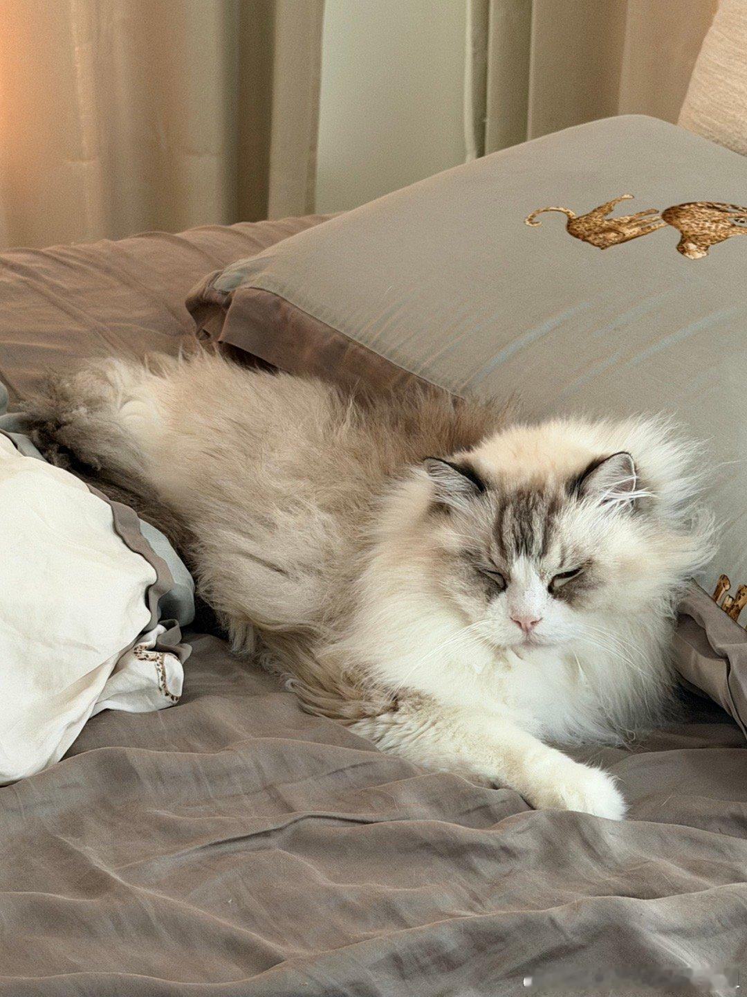 感谢各位的生日祝福，送两张性感床照 美国·洛杉矶