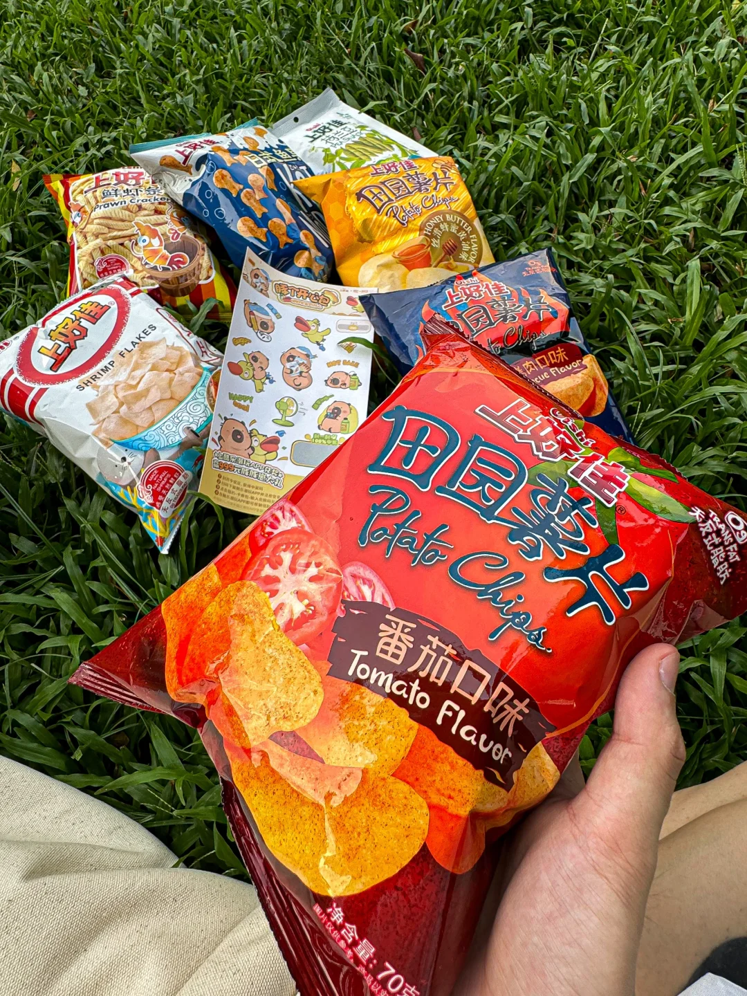 豚个开心包 I 愉快的一天从户外露营开始~