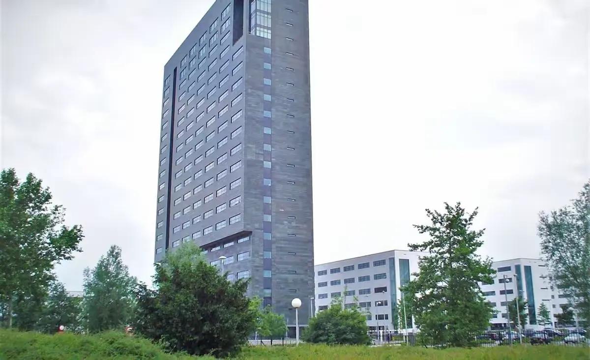 美荷两国曾同时发声，对中国独立研发的光刻机技术给予了强烈批评。

这事儿挺有意思