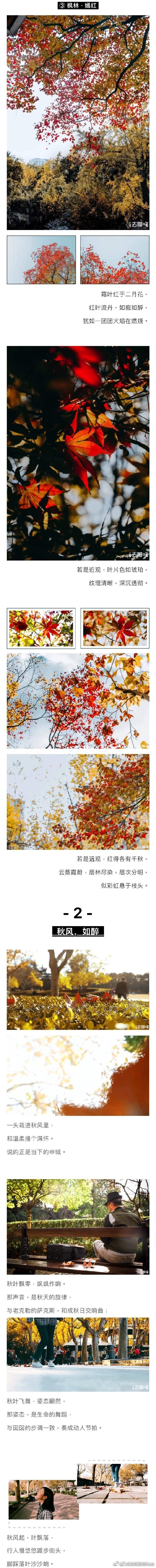 上海吃喝玩乐fun 『每当银杏泛黄时，魔都便成了申城』🍂 