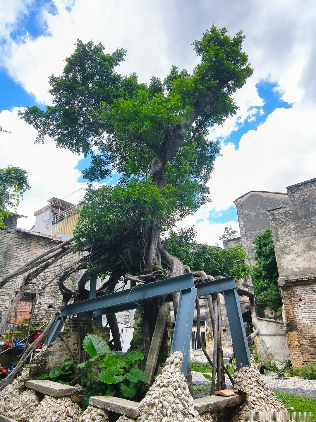 文化中山 拱辰路西侧至纪念堂周边老街旧屋侨房的改造提升大Project ——PI