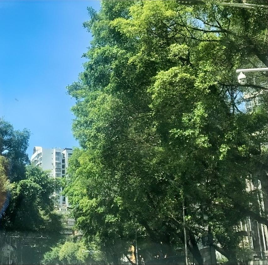 每天收入两块钱你能坚持做自媒体吗会，因为我纯纯当朋友圈记录日常，方便自己想看时可