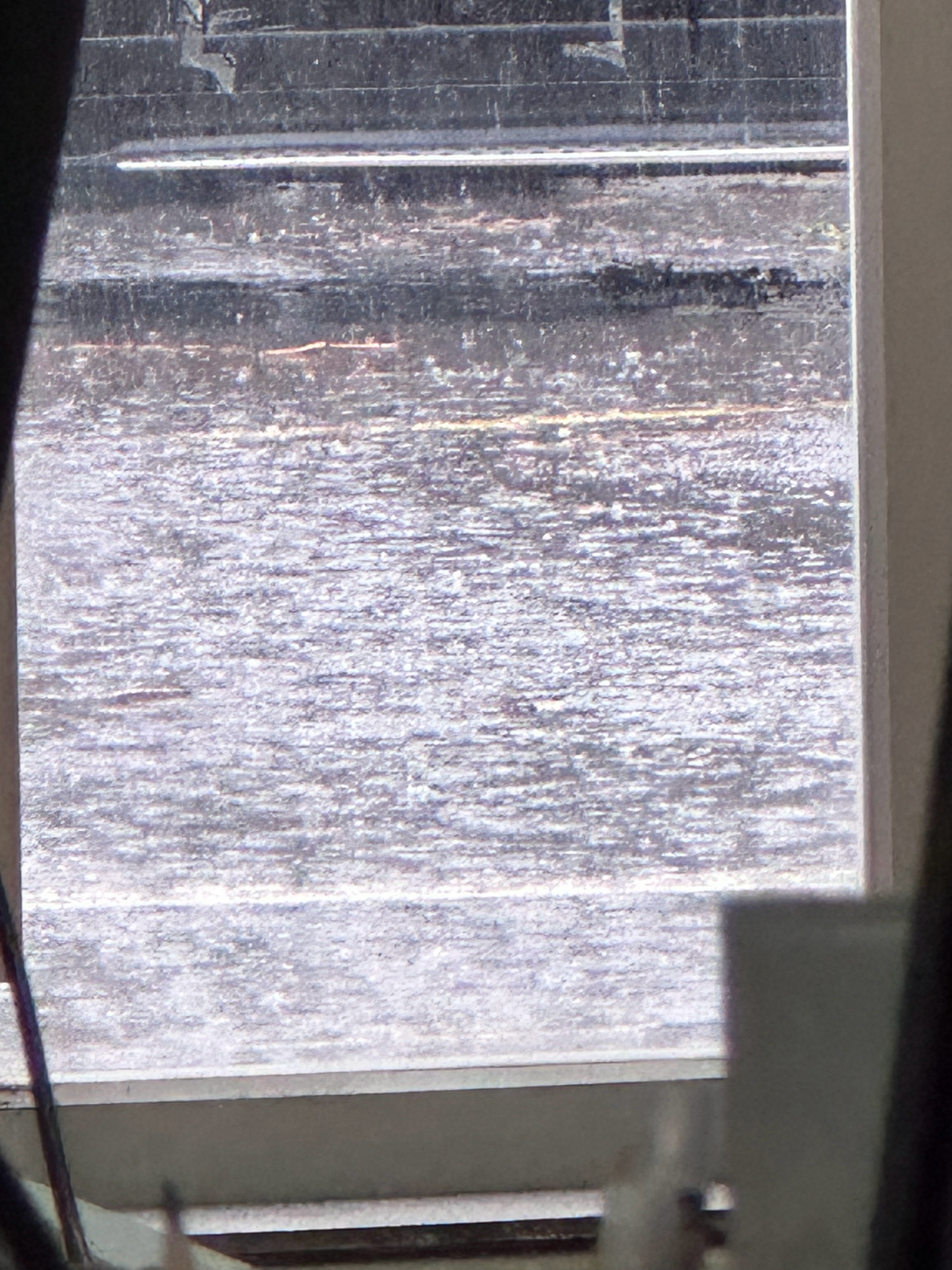 冷冷的冰雨在脸上胡乱的拍～ 