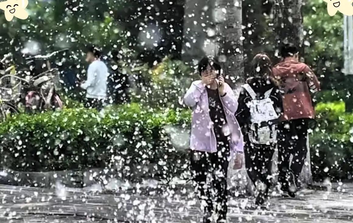 京哈高速唐山段这是上演了一出“白色灾难片”！5月9日，漫天爆发的杨絮直接导致路面