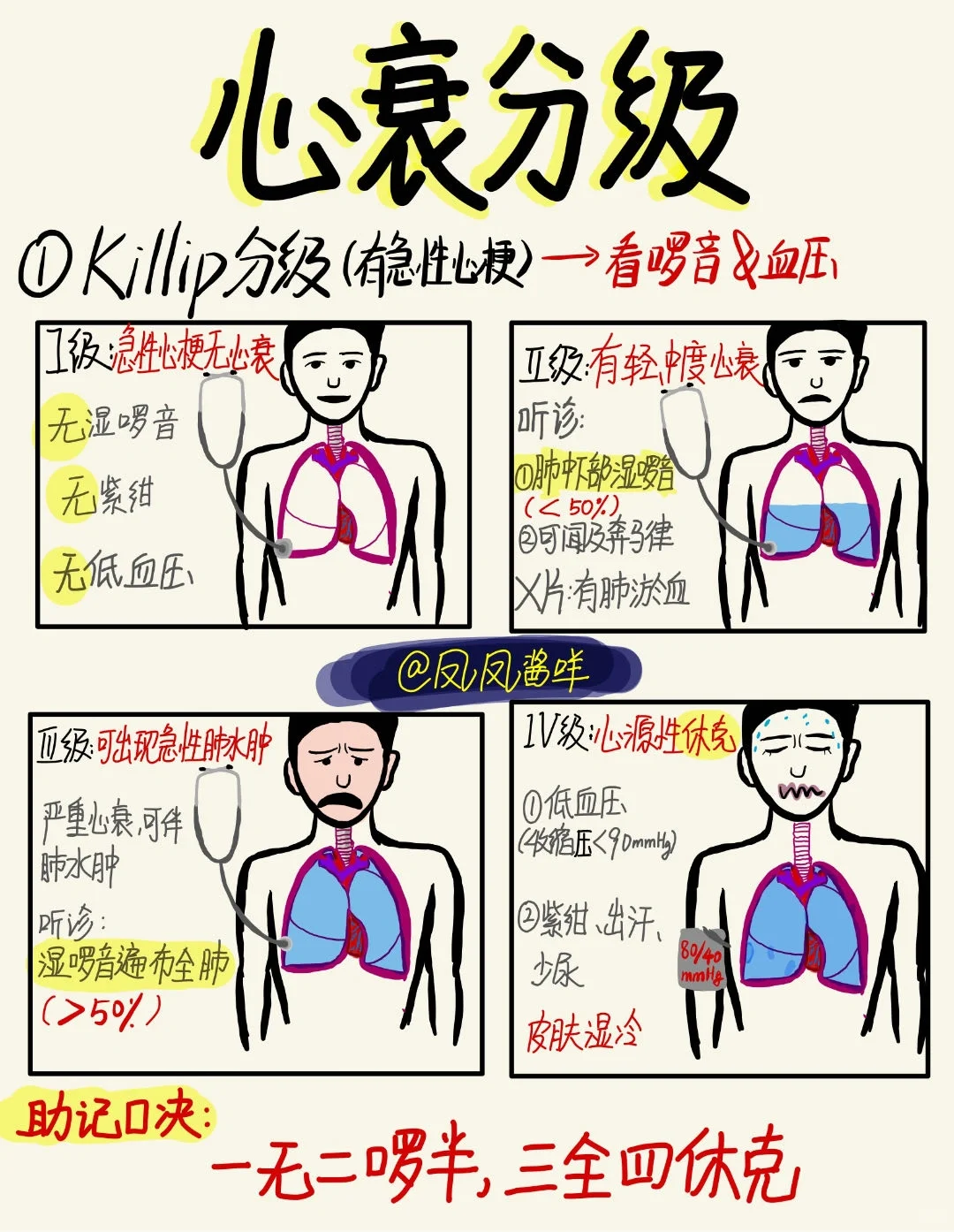 🔔 医学生笔记 | 心衰分级 建议点赞收藏