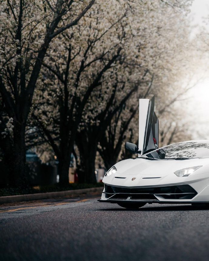 兰博基尼 Aventador SVJ。 