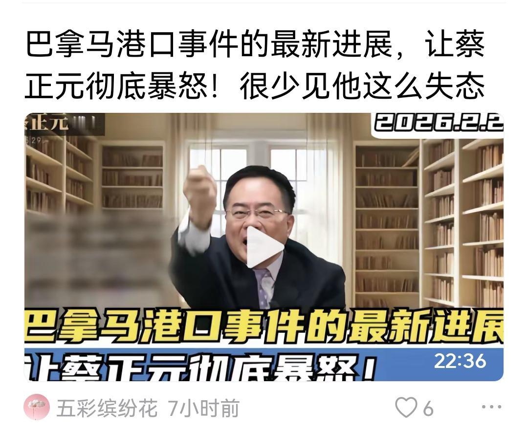 蔡正元大批大公报，大公报成了罪人。