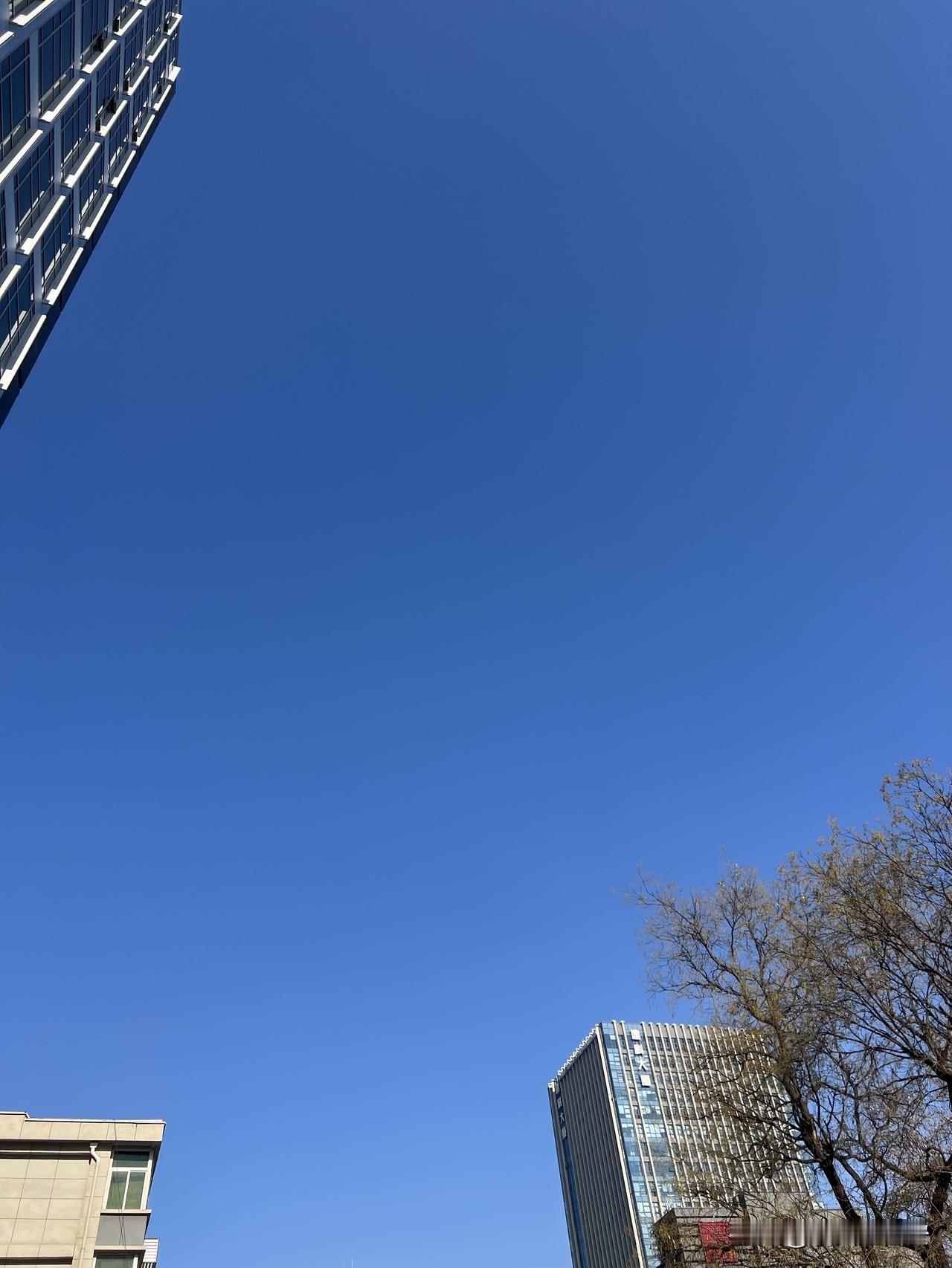 今天西安的天气是

进入12月份以来能见度最好的一天，

午后的天空格外的蓝，