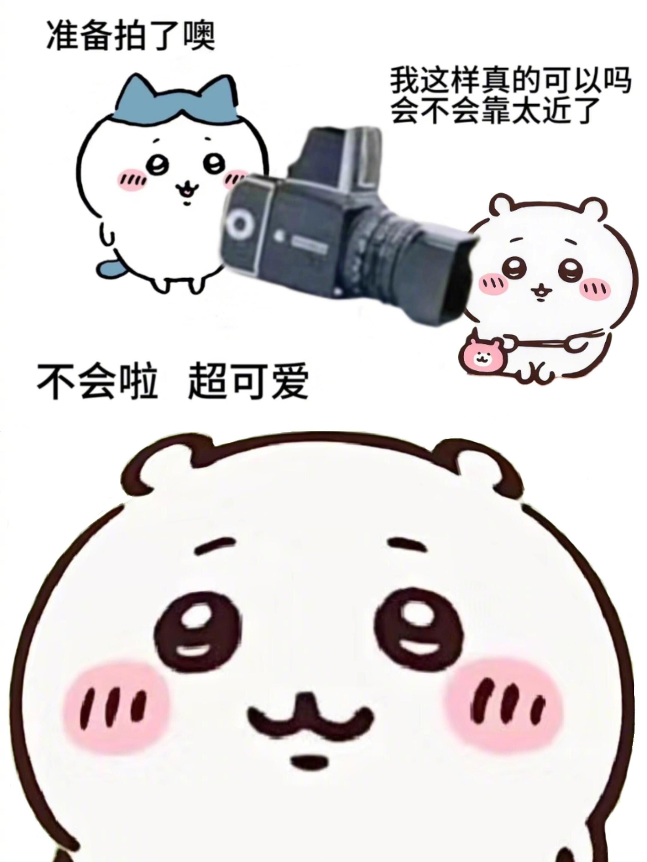 chiikawa[超话]   “不会啦，超可爱” 