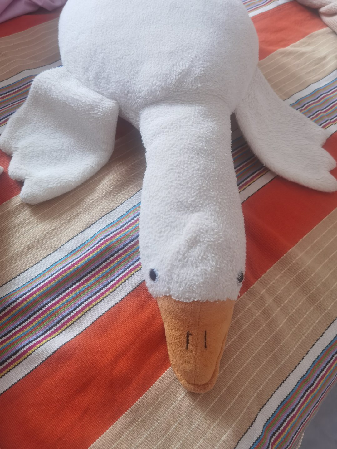 它跟着我也是受罪了，头都压扁了，起床吧 